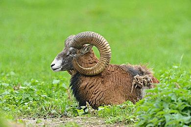 外媒报道冯骥TGA小作文 称其“批评＆怀疑”TGA大奖